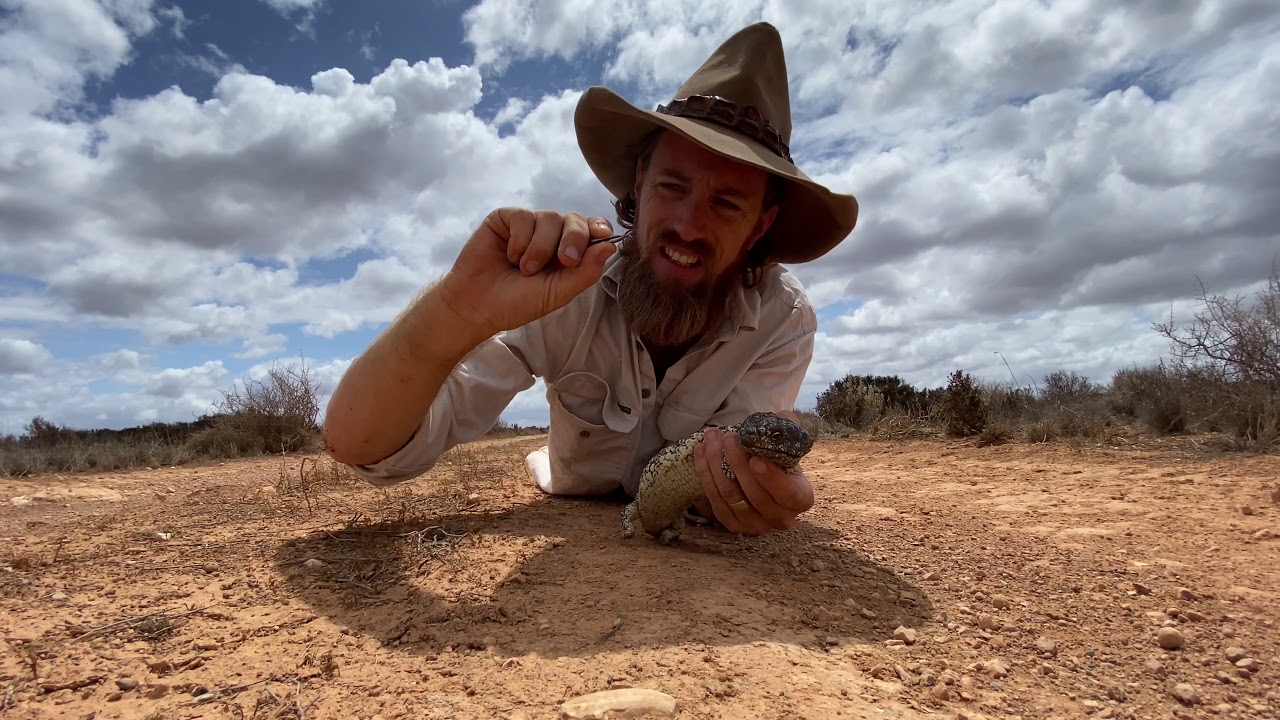 Going Bush on the Nullarbor Plains