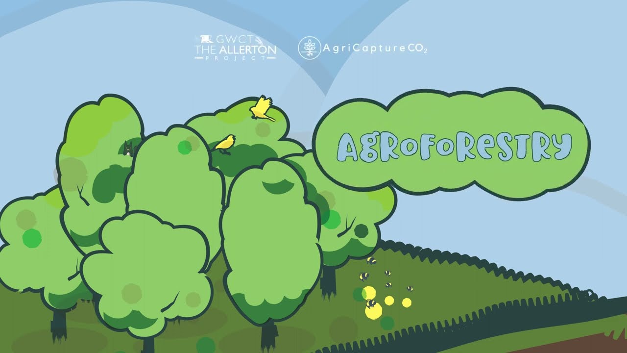 AgricaptureCO2 Agroforestry