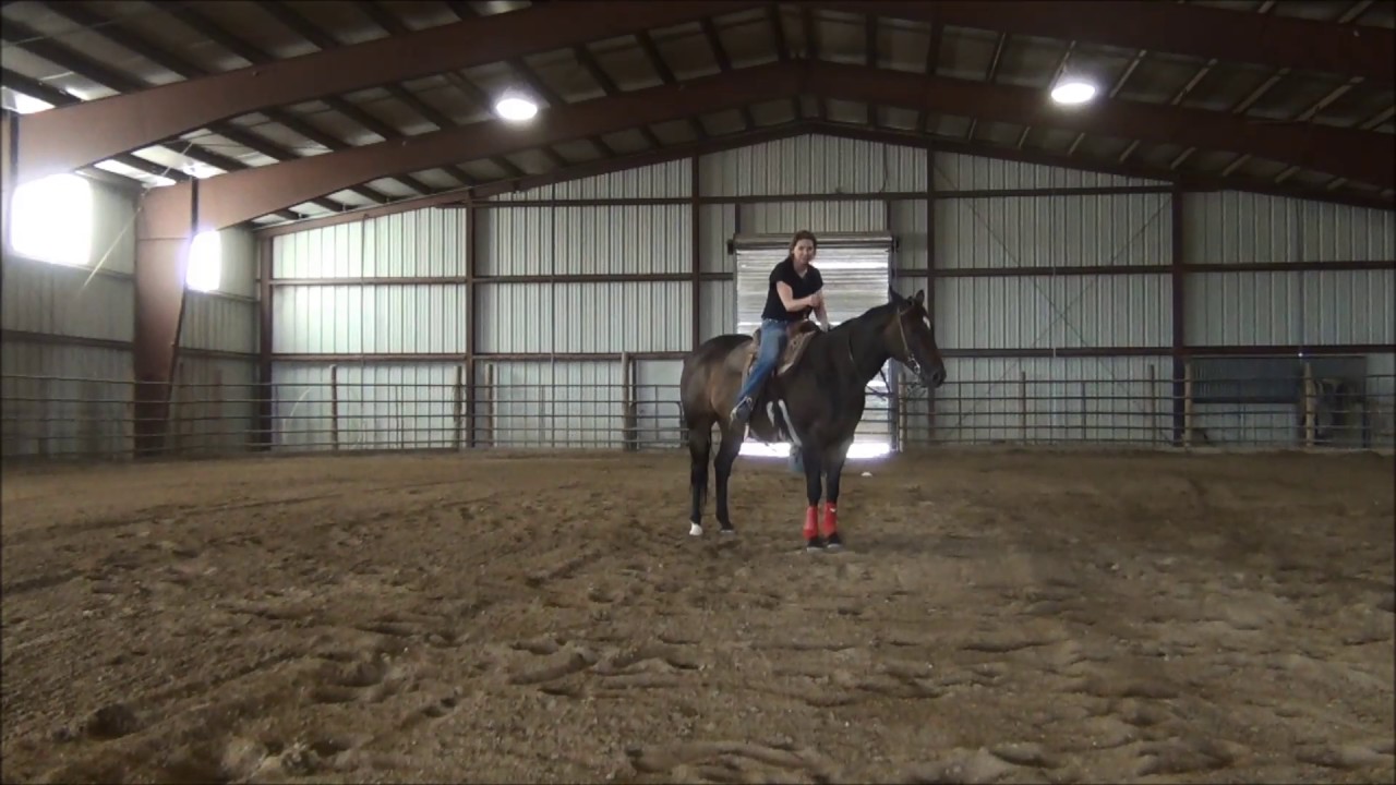 Barrel Racing Introduction to Training w/Shelly McAdams Part 2