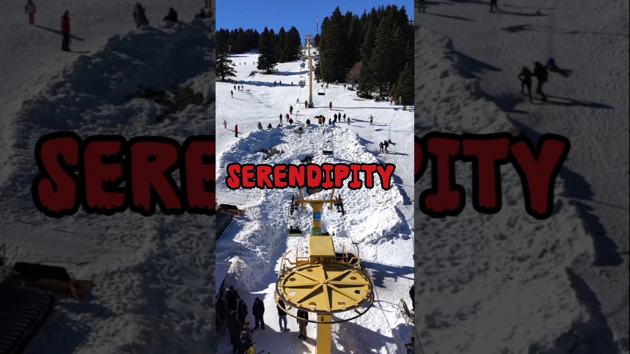 serendipity - a moment when unexpected pleasant things happen 
