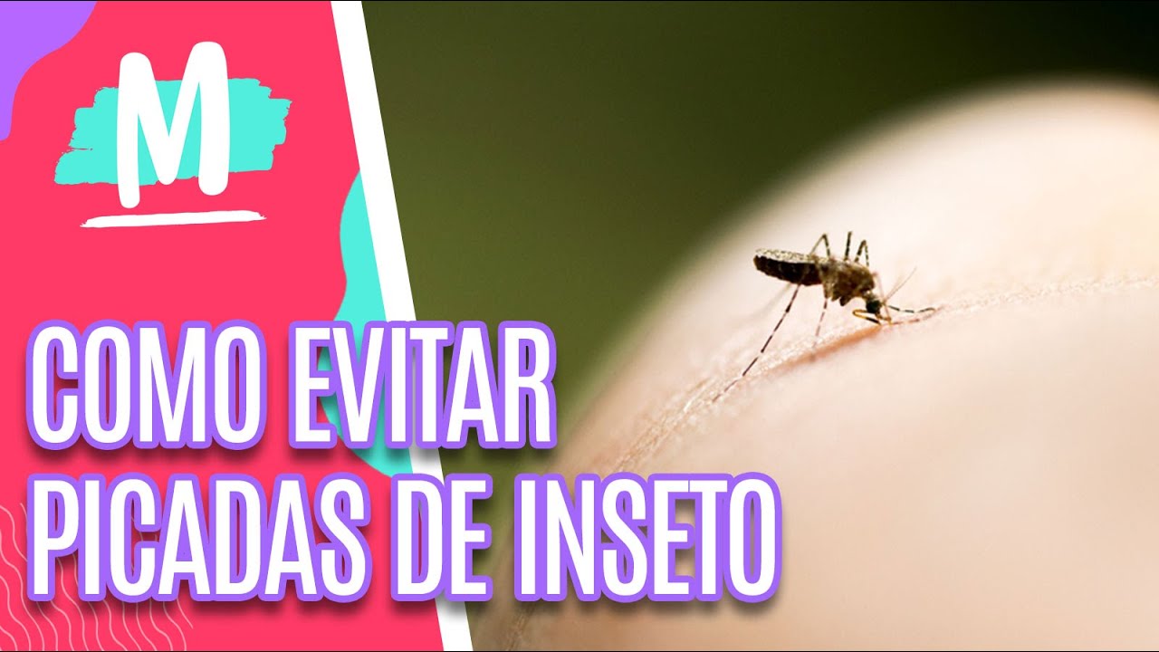 Como evitar picadas de insetos- Mulheres (15/02/22)