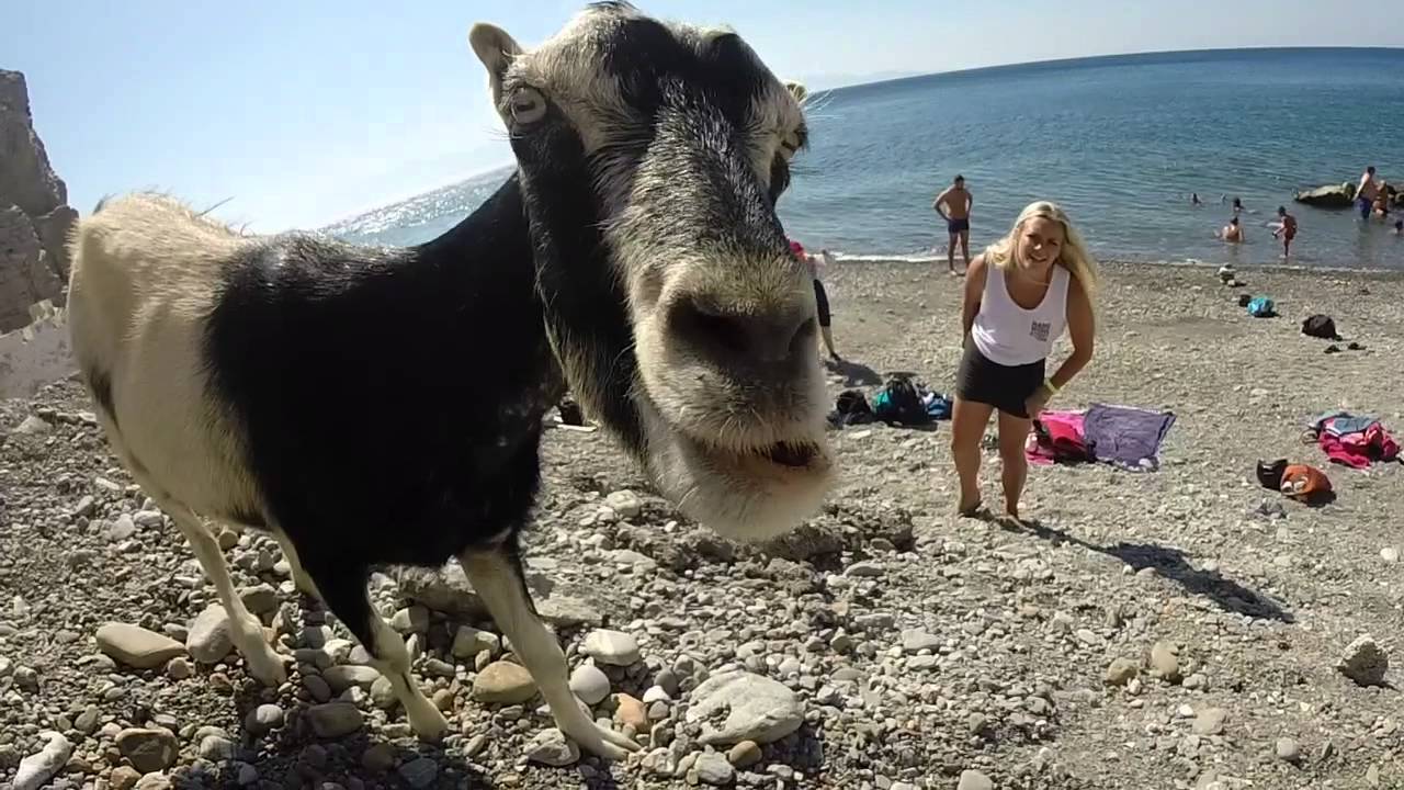 EBS Kos Greece, Summer 2014