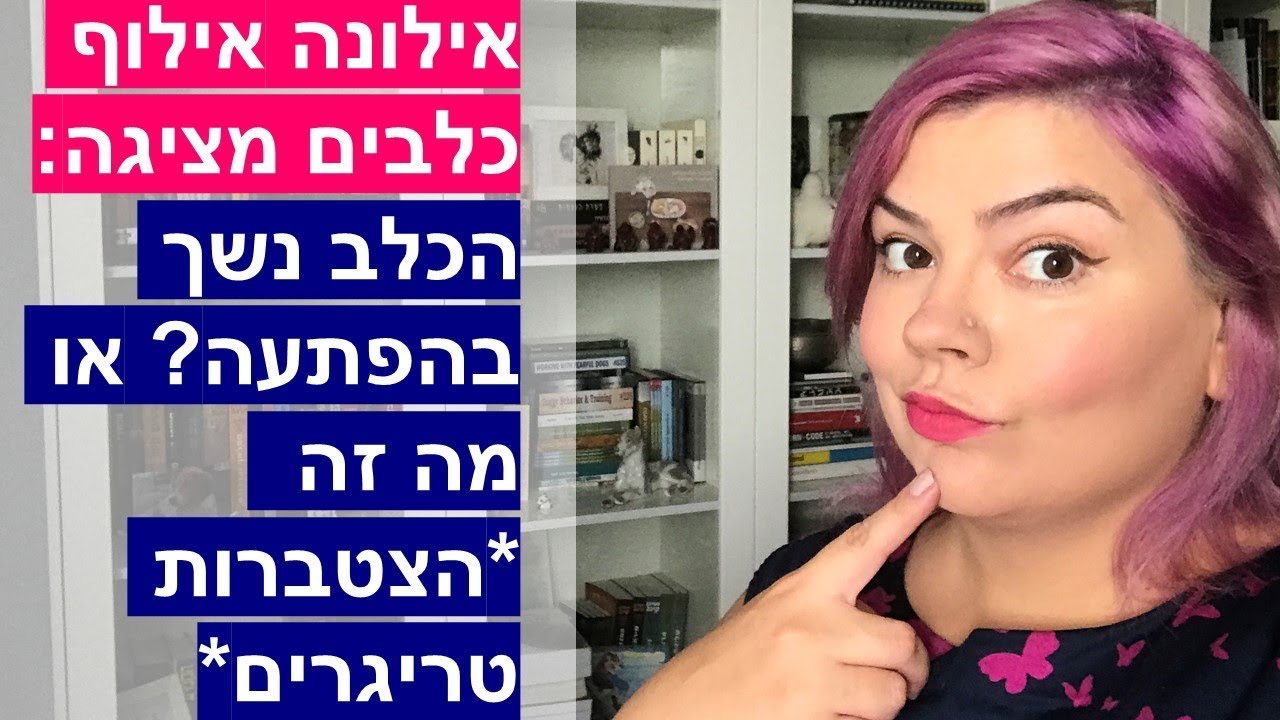 הכלב נושך או מתפרץ בנביחות 