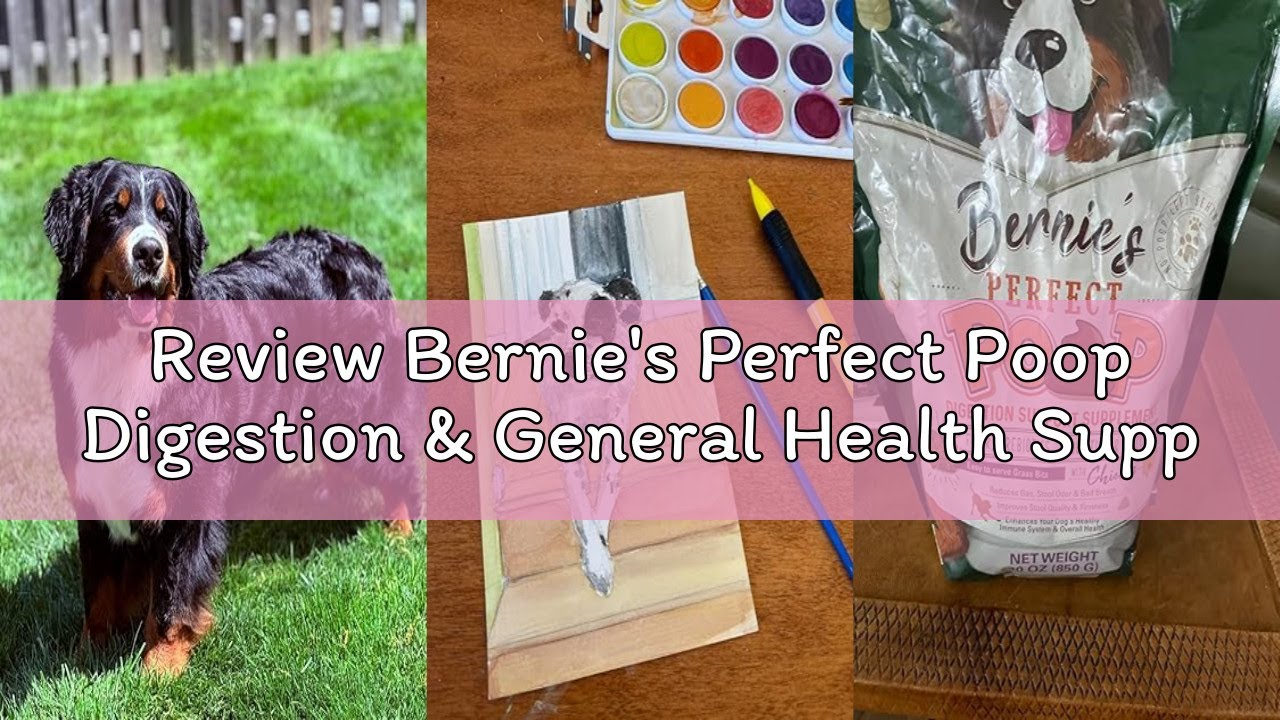 Review Bernie's Perfect Poop Digestion & General Health Supplement for Dogs: Fiber, Prebiotics, Prob
