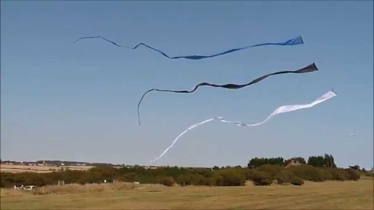 A Day flying single line kites