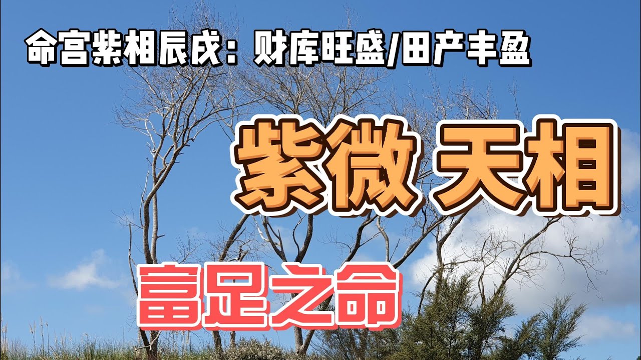 命宫紫微天相/明明是财库旺盛田产丰盈之人/为什么古书说君臣无义，冷血无情/紫相之人男俊俏女美丽/聪明果敢/情路坎坷确是富足之人