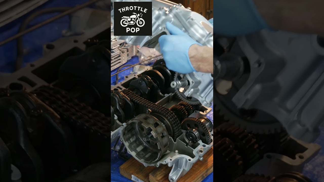 CB750 Engine Rebuild vs Zero Experience | Honda CB750 Restoration Series Pt. 4