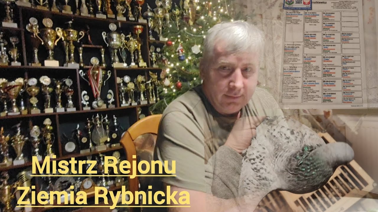 Nowe nabytki w hodowli...ciąg dalszy...