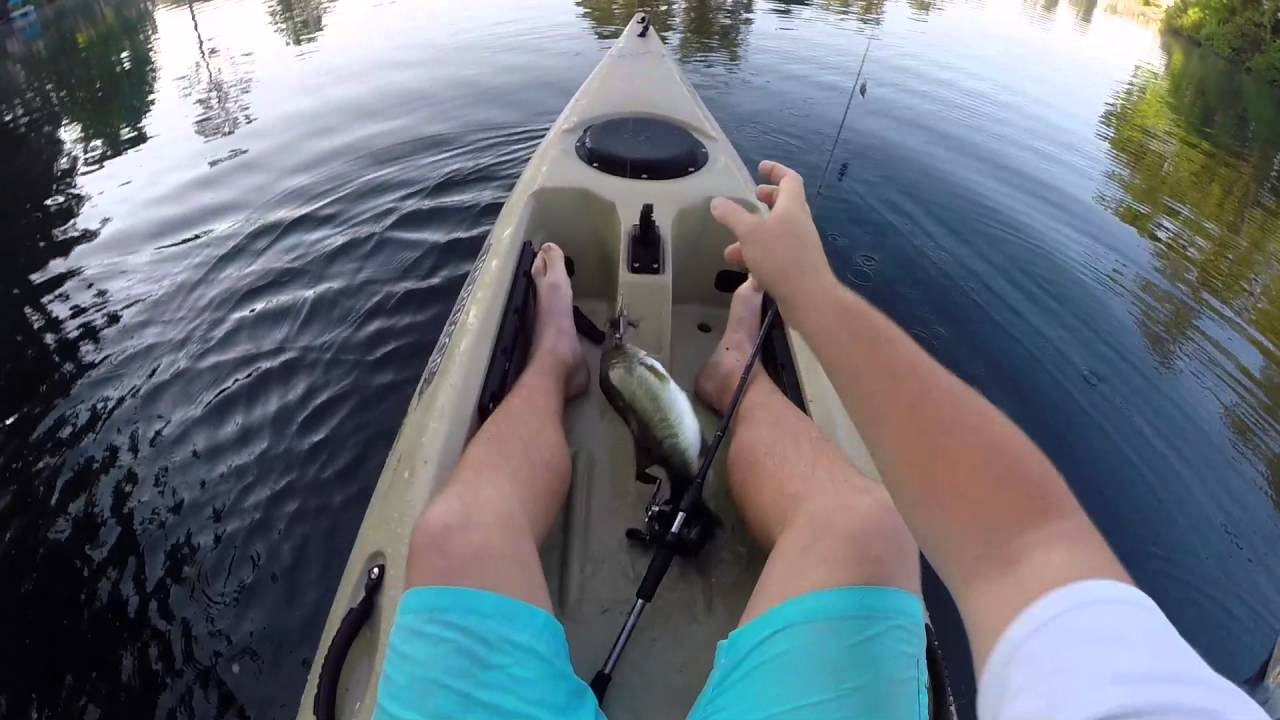 Topwater ONLY Bass fishing