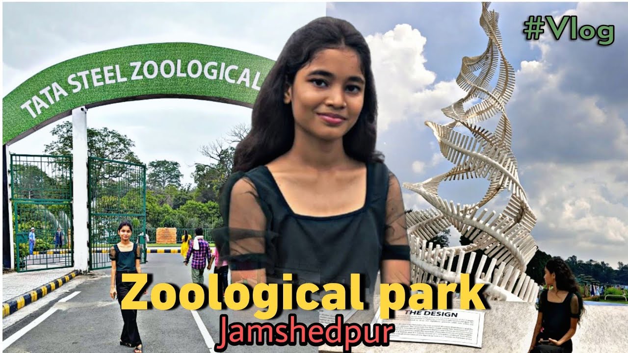 TATA STEEL ZOOLOGYCAL PARK JAMSHEDPUR l NEW ENTRY GATE l ZOOLOGYCAL PARK VLOG JAMSHEDPUR l BEST ZOO