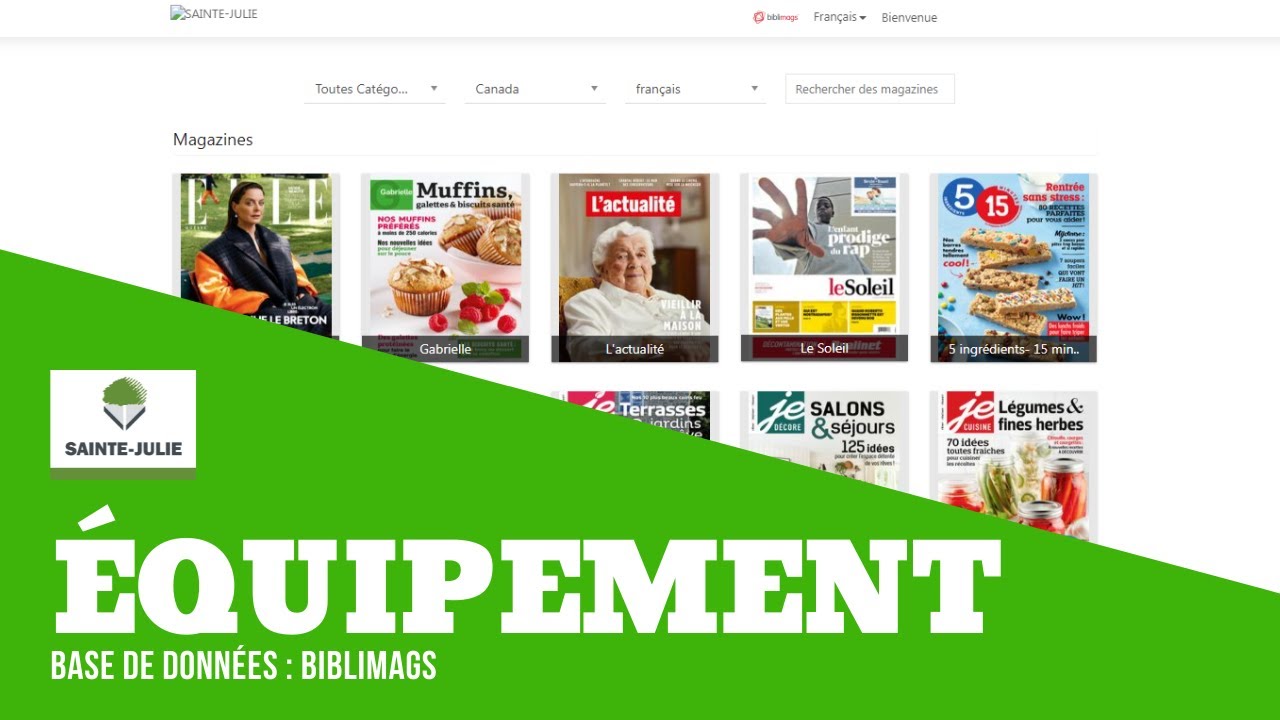 Présentation de la base de données Biblimags