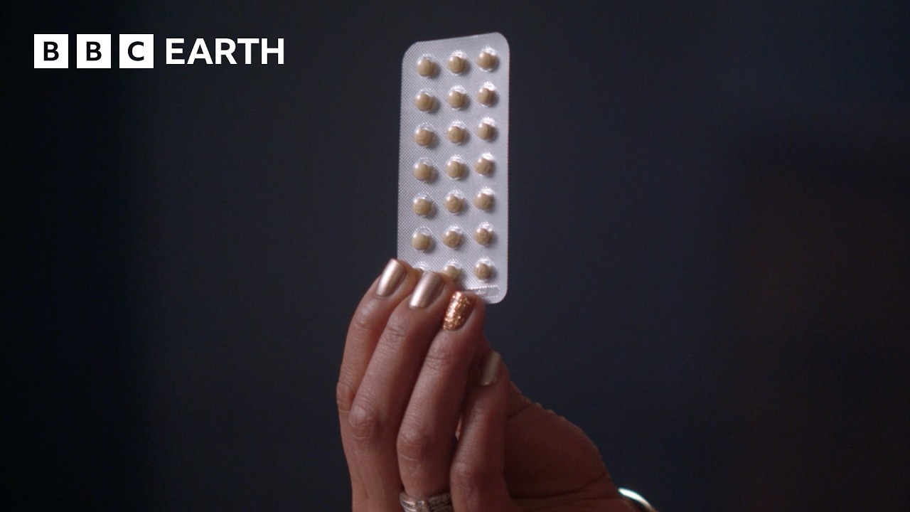 How Does The Contraceptive Pill Affect Your Body? | BBC Earth Science