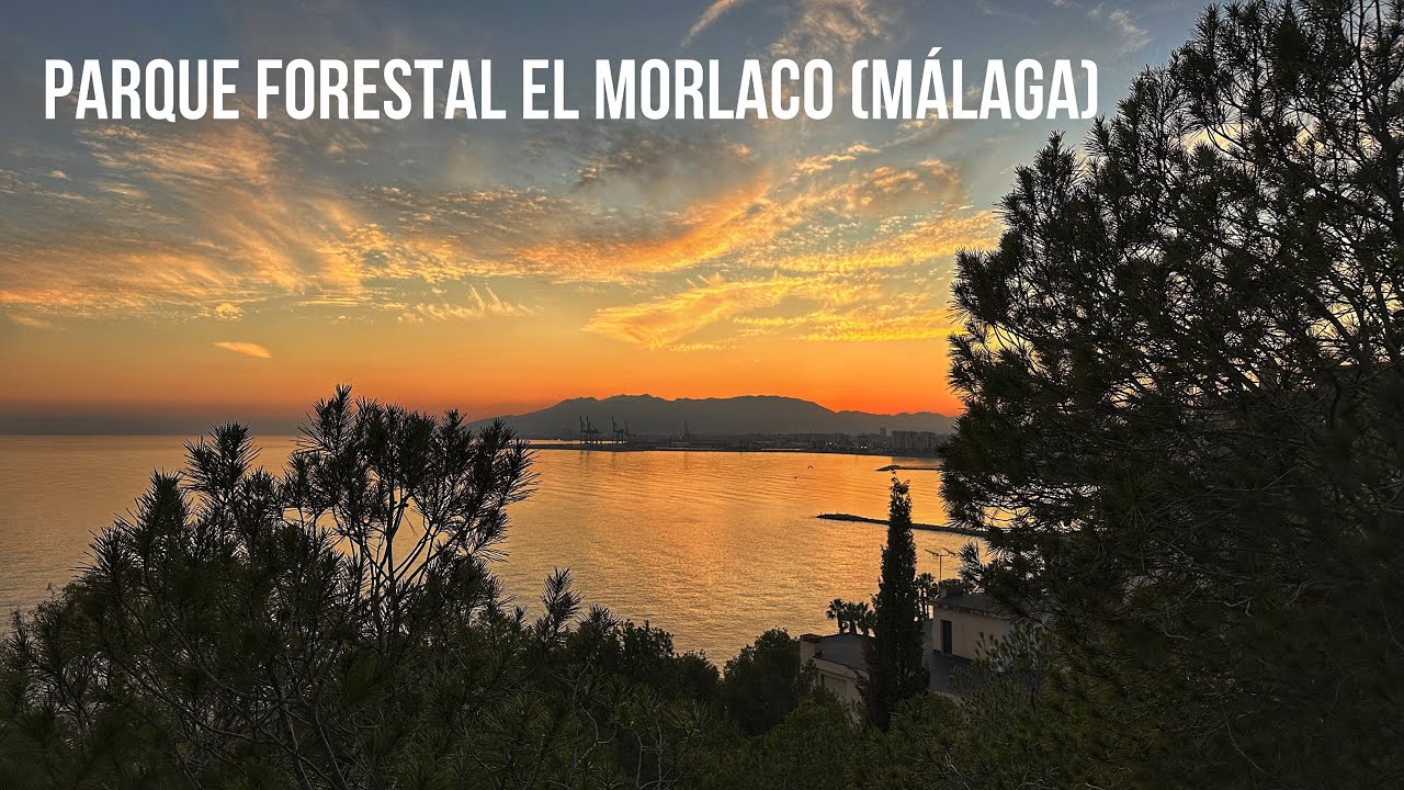 Parque forestal El Morlaco (Málaga) 