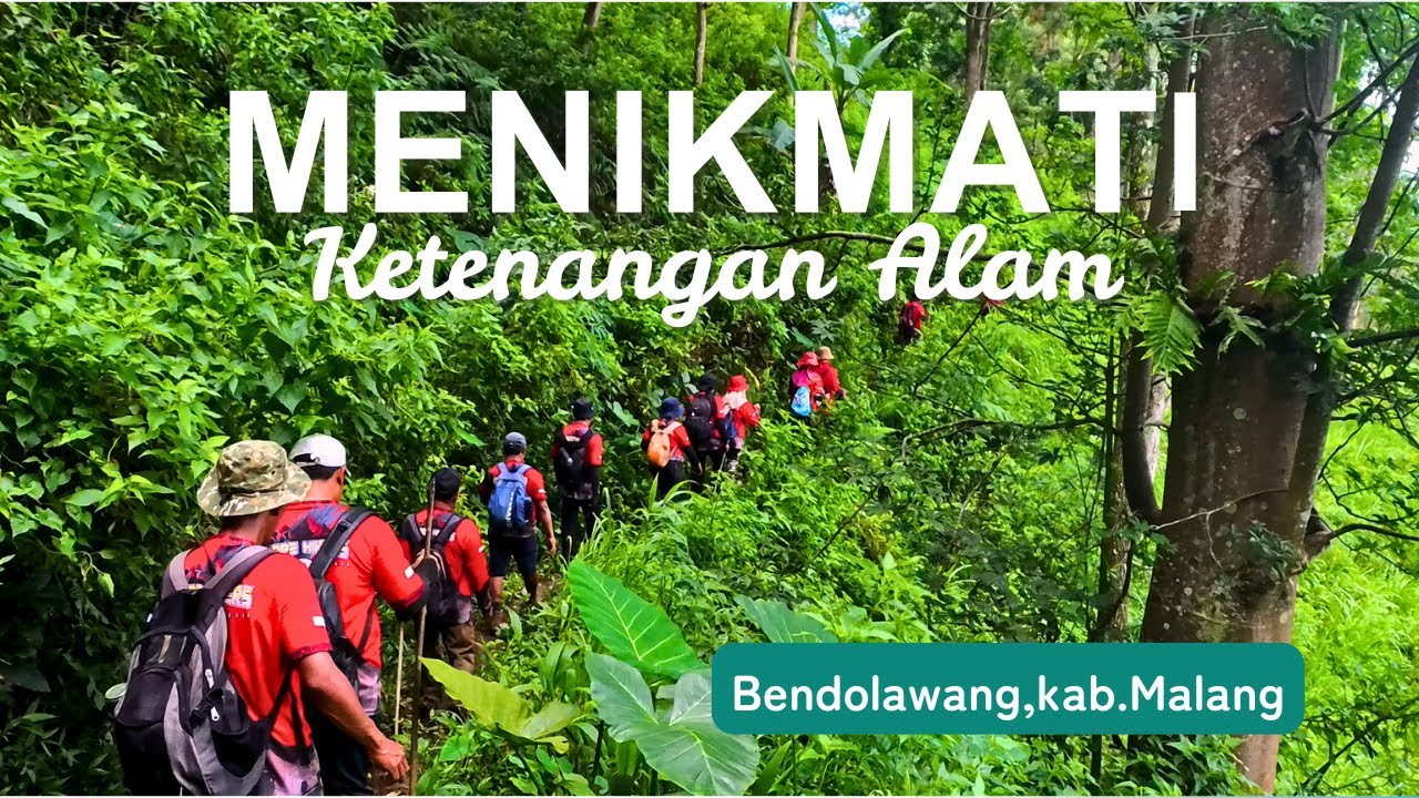 Jalan Santai di Hutan Bendolawang | Nature Ambience & Relaxing Walk
