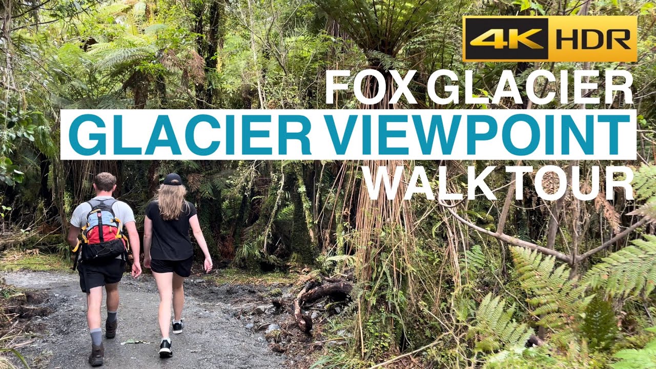 Fox Glacier Viewpoint Walking Tour New Zealand 4K