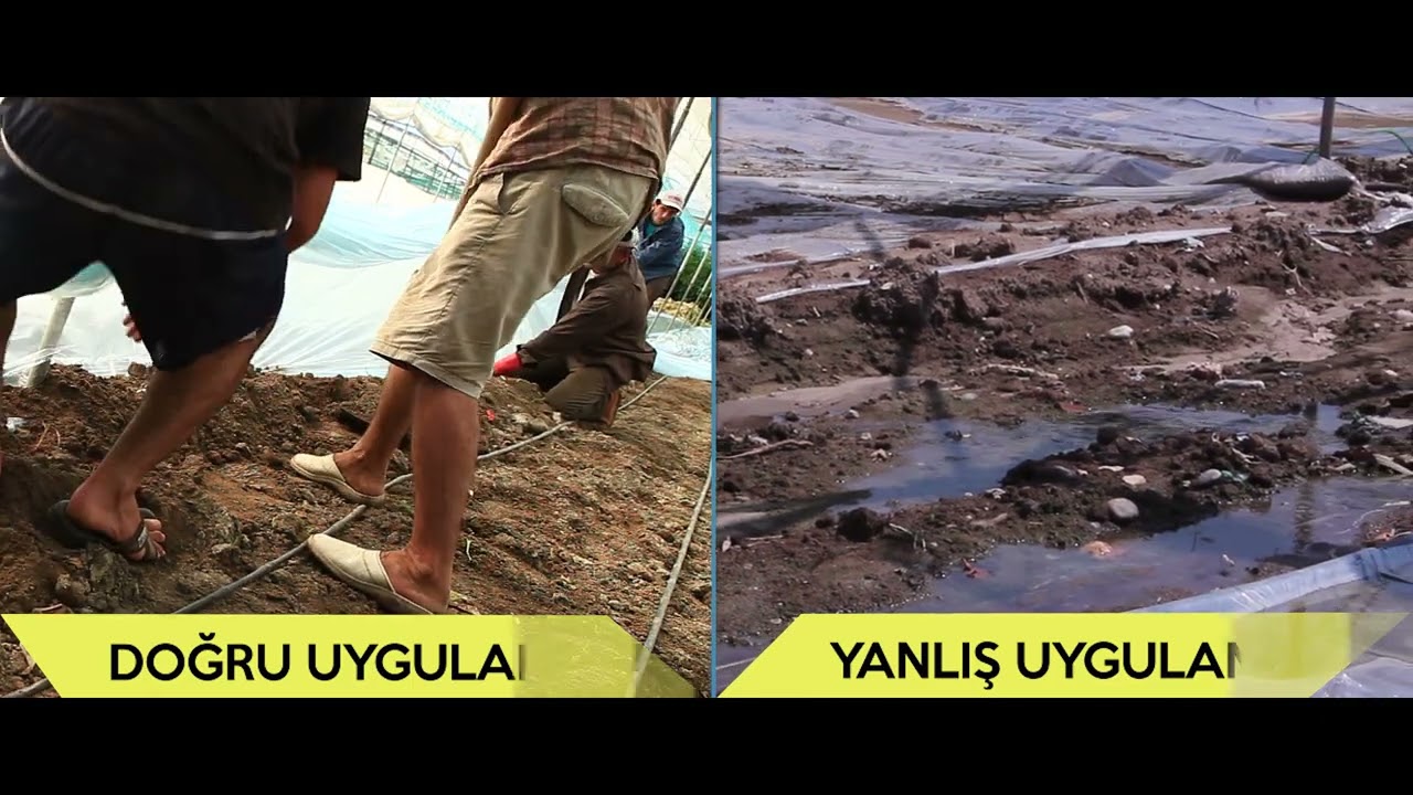 Nematod İle Mücadele Uygulama Filmi/2015