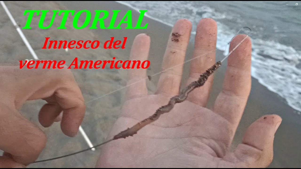 TUTORIAL - Pesca Dalla Spiaggia - L'innesco del verme Americano