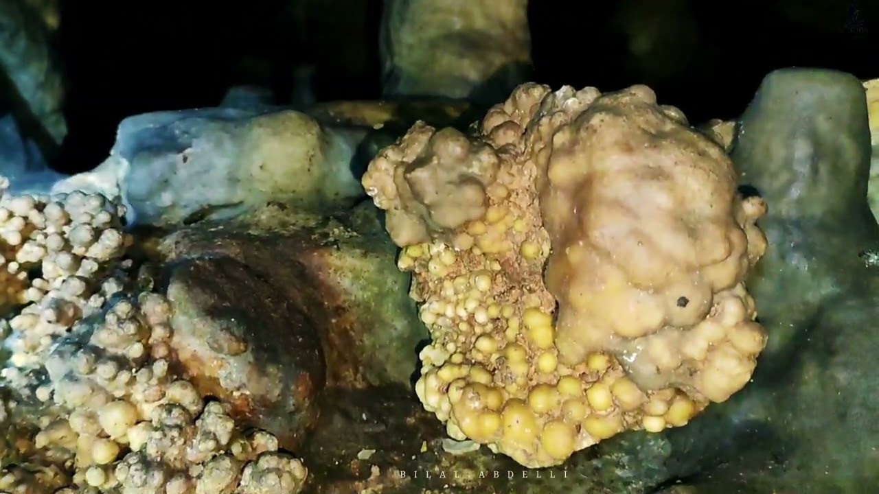 جبل أنوال