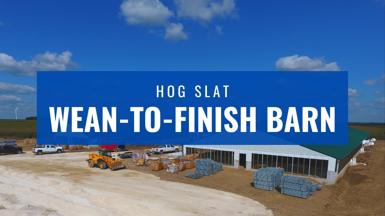 (70'x276') 2 Barn Finisher