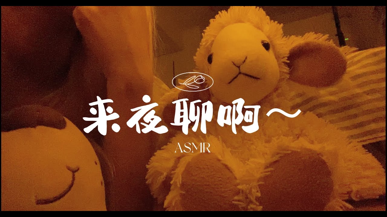 中文ASMR｜失眠夜里和你聊天 Night Rambles