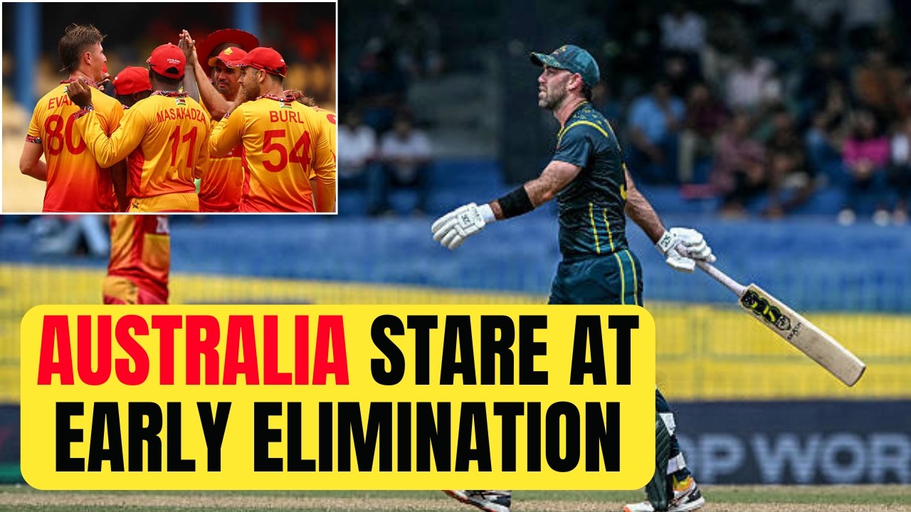 After Zimbabwe loss, what are the chances of Australia qualifying for Super 8 in T20 World Cup?