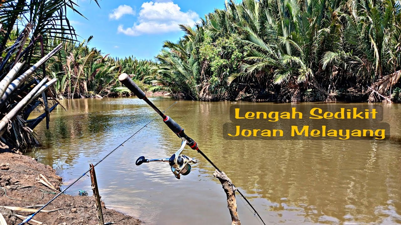 Mancing ikan sembilang umpan janjan