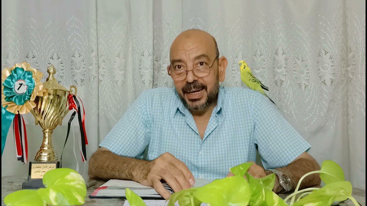 الحلقة 33- مشكلة الميجابكتريا /  Megabacteria🦠🐦  بين المسببات و طرق الوقاية و العلاج