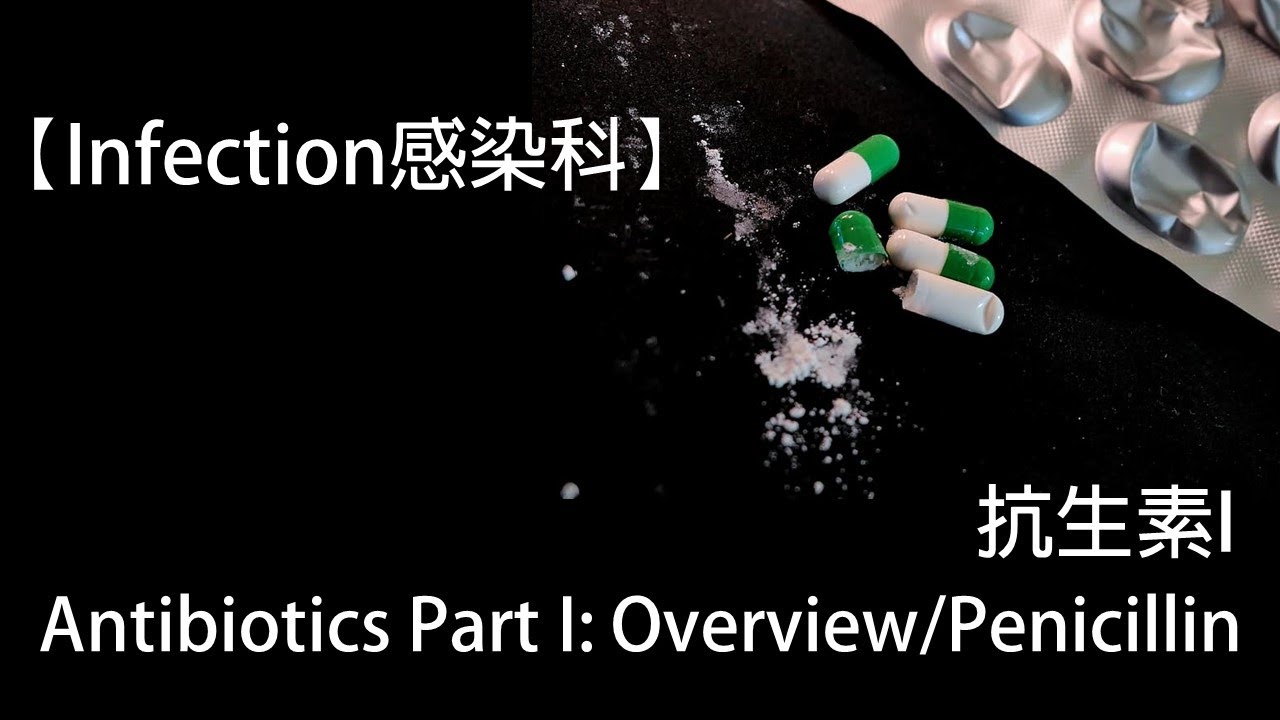 【Infection感染科】Antibiotics Part I:Overview/Penicillin 抗生素I