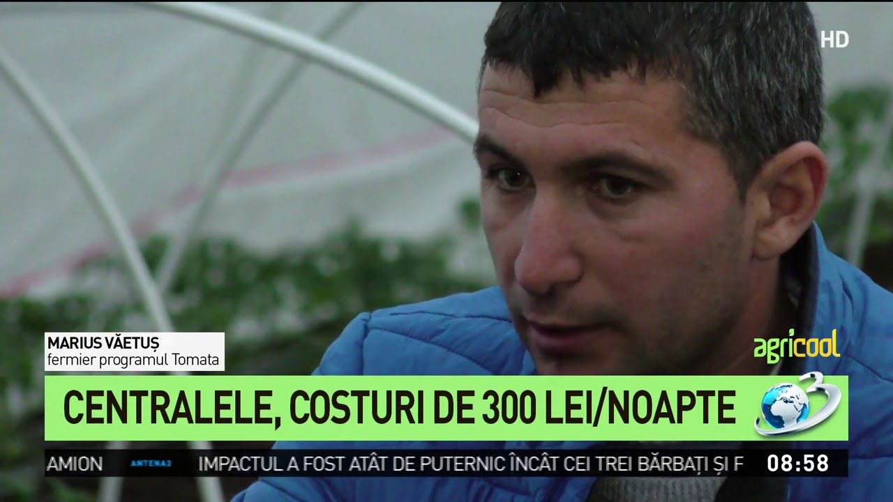 Agricool. Povestea legumicultorilor din Izbiceni care se zbat să producă rosii prin programul To