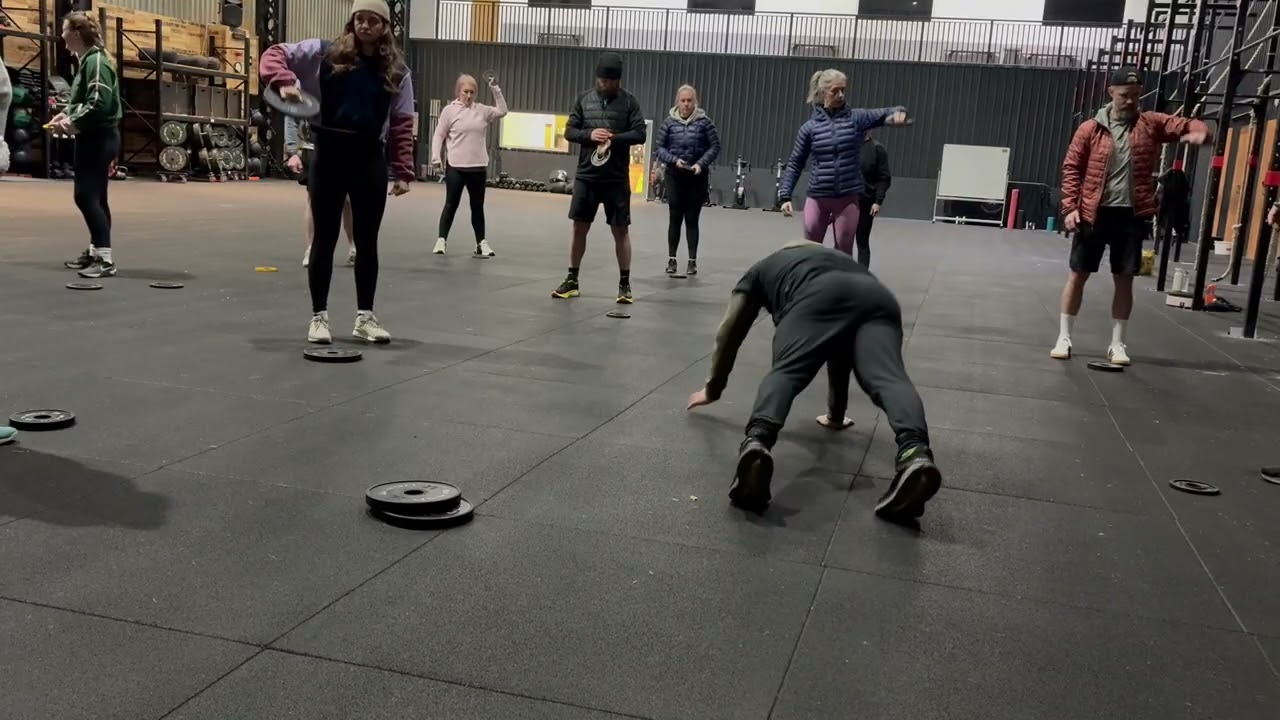 IMG 1229