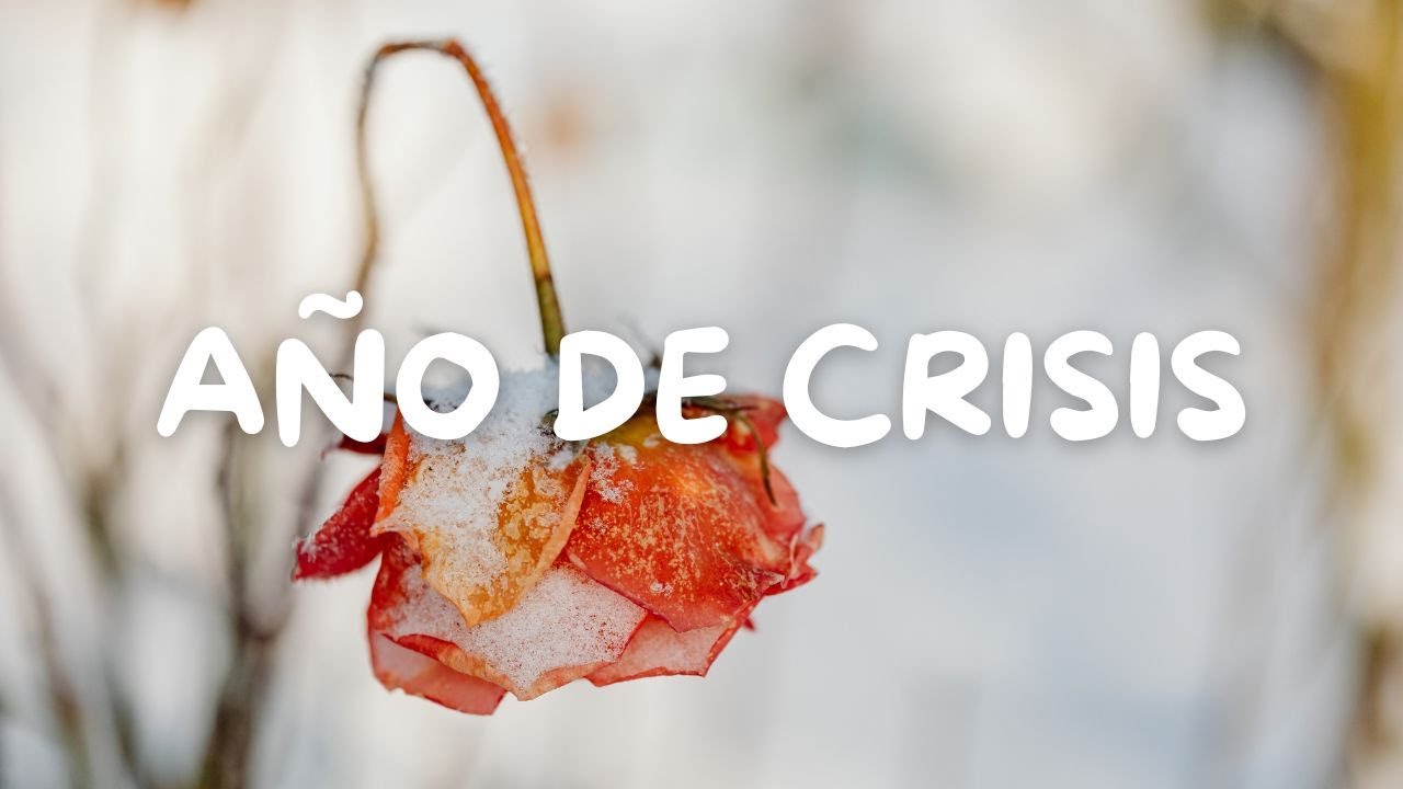  AÑO 2025 - CRISIS ANSIEDAD Y DEPRESIÓN 
