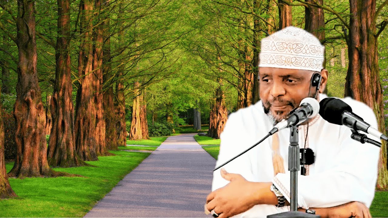 Kivuli Hufuata Mti namna Ulivyo - Sheikh Othman Maalim