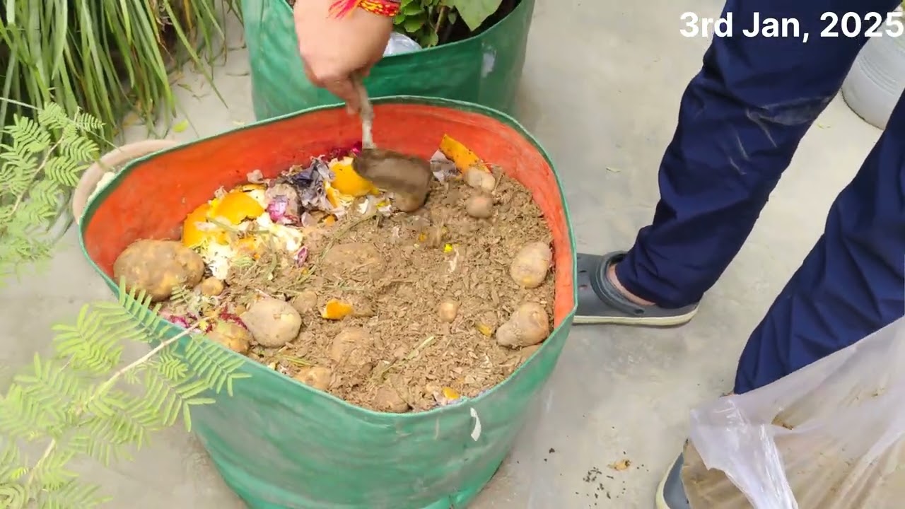 Kitchen Composting #How to Start Composting at home #Viral #Kitchen waste #chhatpebagicha #likeshare