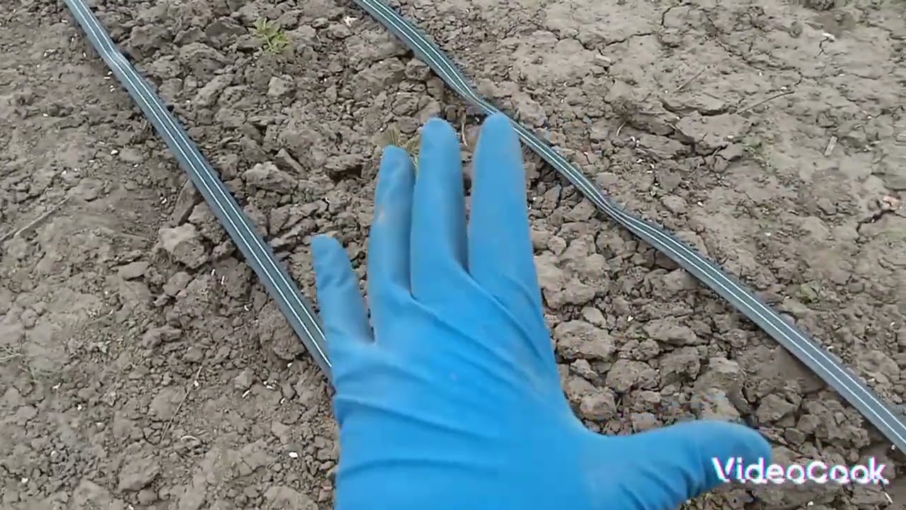 Крапельний полив своїми руками, все дуже просто!