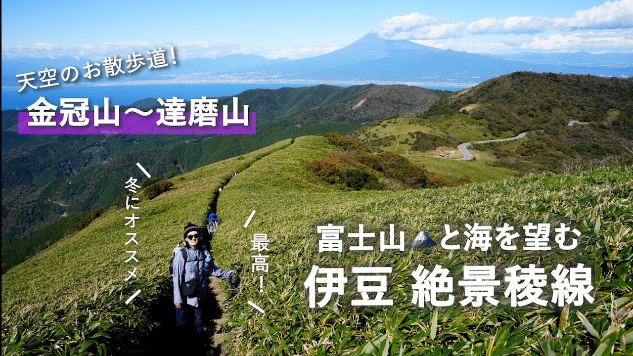 【伊豆×絶景ハイキング】晩秋〜冬のMt.FuJiビューは達磨山で決まり！