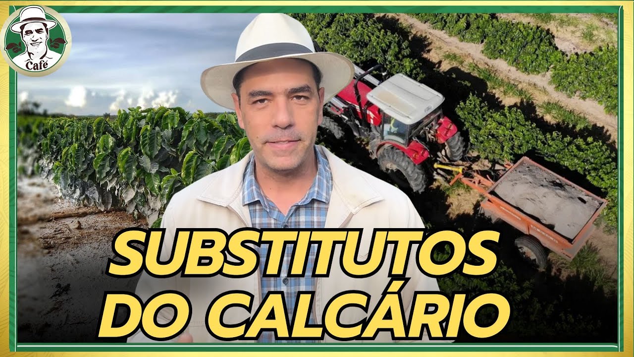 O CALCÁRIO ESTÁ FORA DE MODA? 