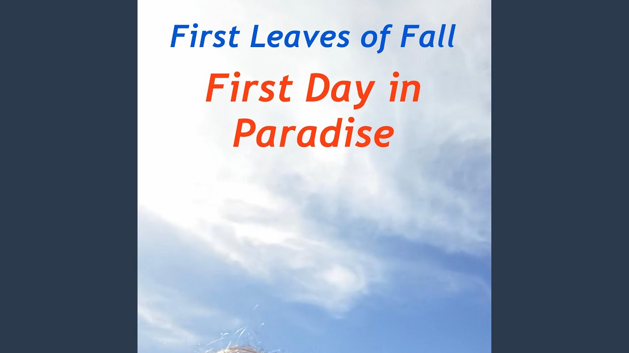 First Day in Paradise