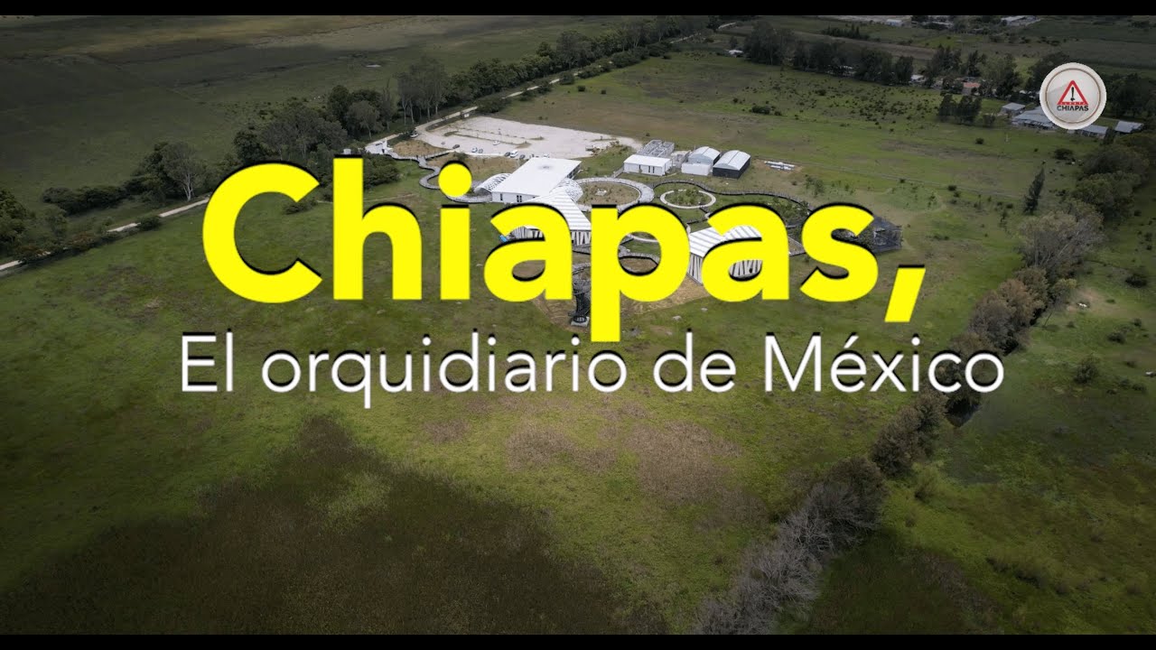 Chiapas, el orquidiario de México