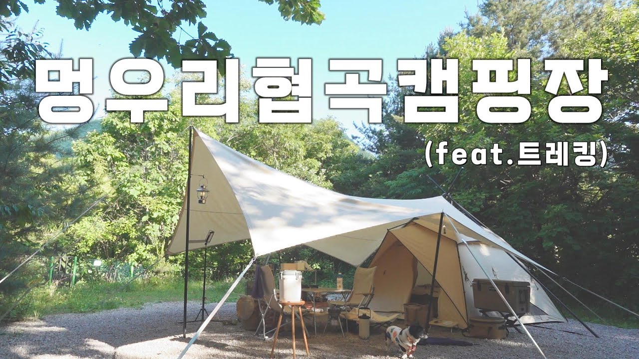 다이어트 중인 캠퍼라면 이곳으로👍ㅣ한탄강 둘레길 트레킹 코스🥾가 있는 애견동반 캠핑장ㅣ먹고 소화시키고 먹는 캠핑ㅣ🏕️포천 멍우리협곡캠핑장