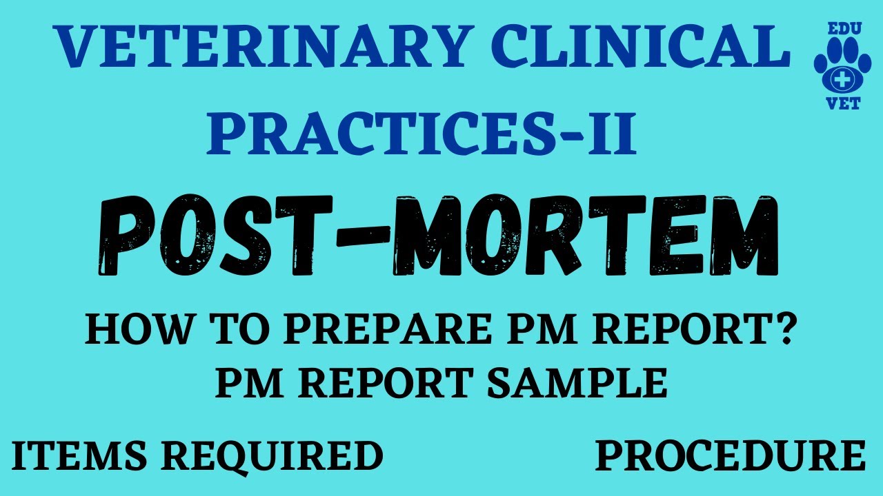 Post Mortem Report Writing Detailed Video