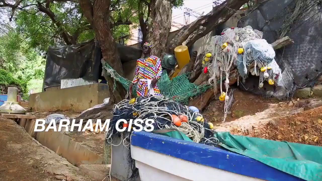 Barham cisse  NGANE SAMB