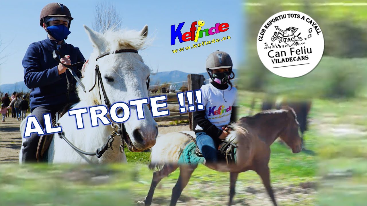 Aprende fácil CABALLO 🐎 Hípica Can Feliu Viladecans Club Esportiu tots a cavall. Razas de caballos