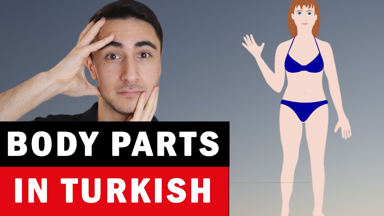 Body Parts in Turkish