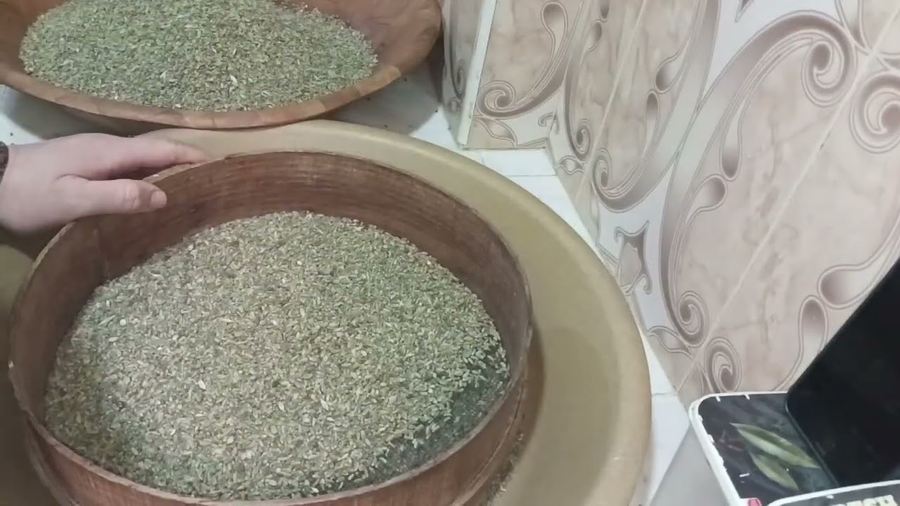 تحضير الفريك لرمضان خطوة بخطوة باش يجيك بنين ونظيف 🇩🇿