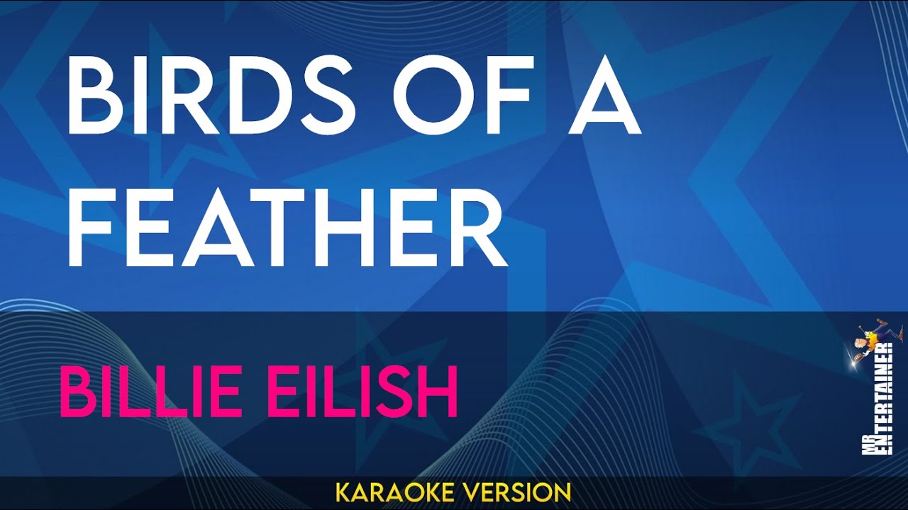 Birds Of A Feather - Billie Eilish (KARAOKE)