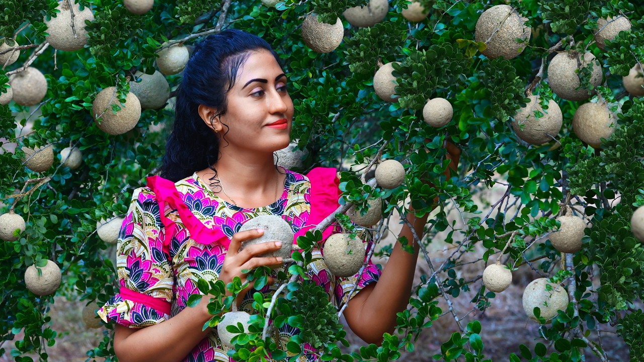 Wood Apple Delights! 🍈 That Sour & Sticky Pulp To Jam, Ice Packets, Tasty Masala & more!