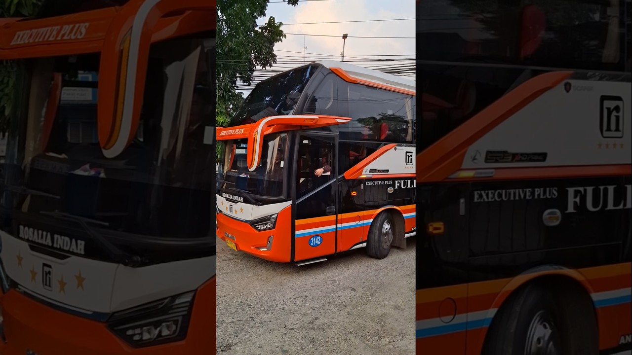 ISTIMEWA‼️Bus Legacy SR3 XHD Prime Bersasis Tronton🤩 #bus #rosaliaindah #viralvideo #shorts #fyp