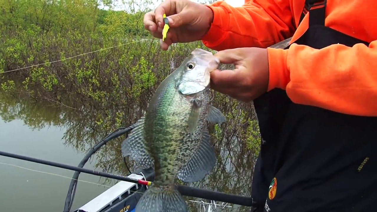REND LAKE CRAPPIE IN BUSHES- Full length eps.
