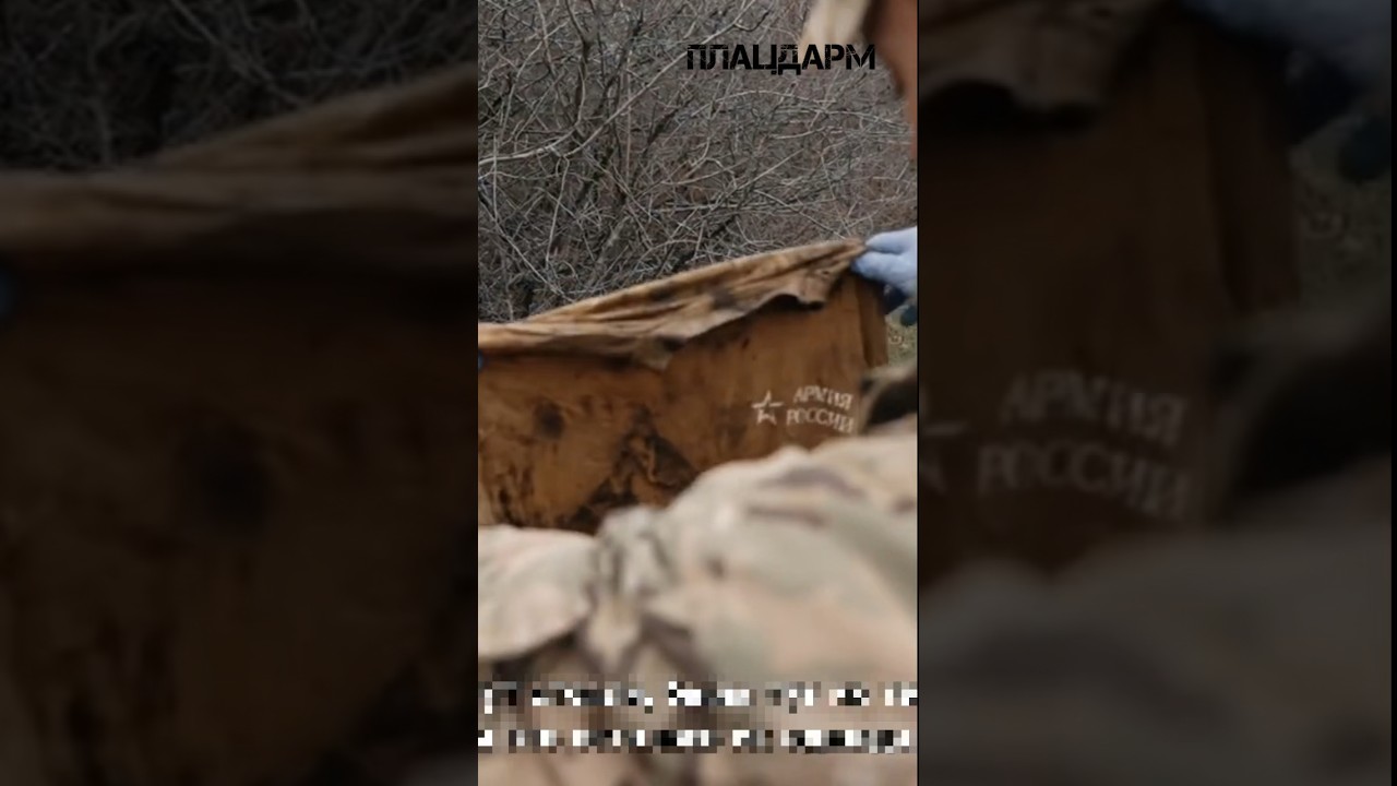 #пошукзагиблих #війна #україна