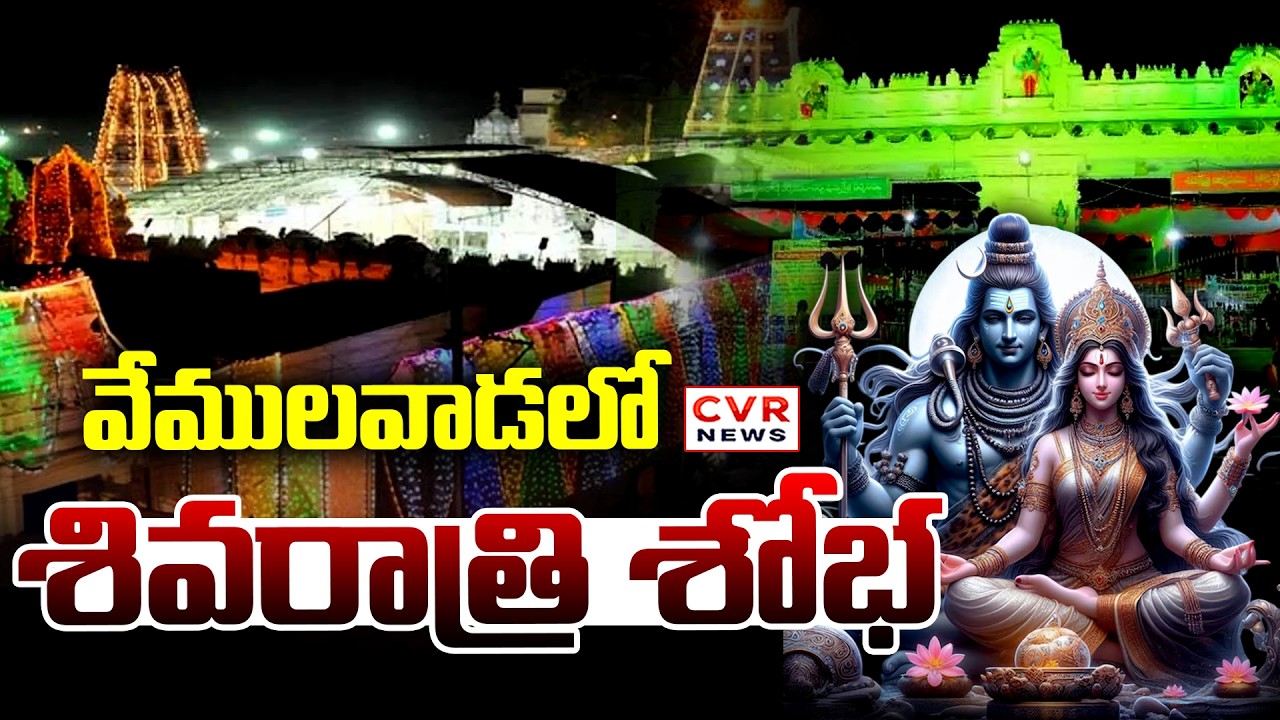 వేములవాడలో శివరాత్రి శోభ | Maha Shivaratri Mahostavam In Vemulavada | CVR News